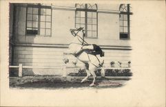 CPA Cheval Hippisme Saumur Sauteur en liberte Courbette fantaisiste