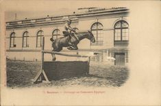 CPA Cheval Hippisme Saumur Dressage du concours hippique