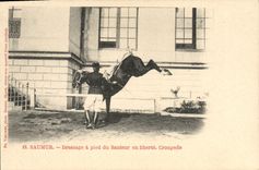 CPA Cheval Hippisme Saumur Dressage a pied du sauteur en liberte Croupade