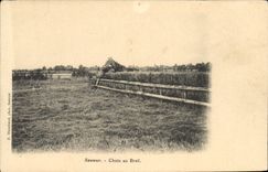 CPA Cheval Hippisme Saumur Chute au Breil