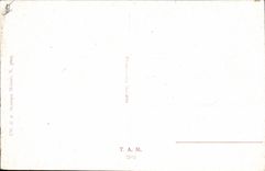 Mujer de Vorlandi del ilustrador de la fantasía de la POSTAL de la VENDIMIA