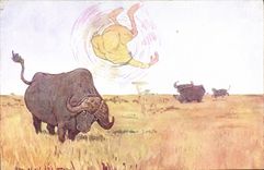 VINTAGE POSTCARD Fantasy Illustrator Africa Oxen