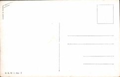 VINTAGE POSTCARD Fantasy Illustrator Africa Ass Mule