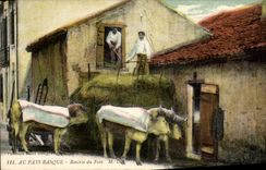 CPA Folklore Au pasy basque Rentree du foin Boeufs 