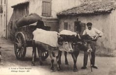 CPA Folklore Scenes et types basques Attelage Boeufs 