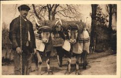 Coche vasco del vasco de los estándares del folklore de la POSTAL de la VENDIMIA