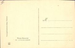 VINTAGE POSTCARD Folklore Basque Standards Basque Coach