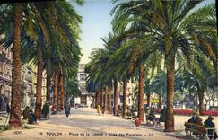 CPA Toulon Place de la Liberte Allee des palmiers