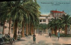 VINTAGE POSTCARD Toulon on Sea the place of Freedom palm trees