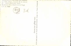 POSTAL MODERNA bulevar santo Felix Martin de Raphael y la playa