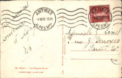 CPA Agay Lar Pergola fleurie 