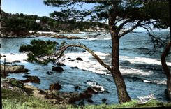 MODERN CARD Holy Aygulf Seaside