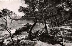 MODERN CARD Dimension Of Azure Way Of the Seaside