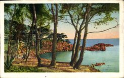 CPA La Cote D'Azur La Corniche D'Or Les rochers rouges et les pins maritimes a Boulouris sur mer 