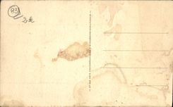 VINTAGE POSTCARD Toulon Cape Brown Handle De Magaud And rocks of co. Marguerite