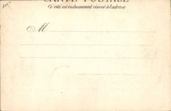 CPA Cheval Hippisme Saumur Sauteurs en liberte 