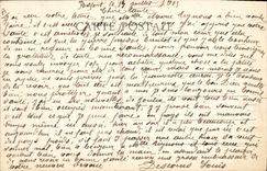 CPA Militaria Haute Alsace Ceremonie de la Toussaint sur les tombes des soldats francais tombes au champ d'honneur