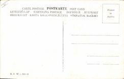 VINTAGE POSTCARD Fantasy Illustrator Big range Ass Mule Fox Egypt Egypt