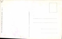 CPA Fantaisie Illustrateur I am the man Ane Mule Egypt Egypte