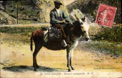 CPA Folklore Type basque Monture montagnarde Ane Mule 