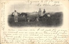 CPA Folklore Pays basque Attelage de boeufs 