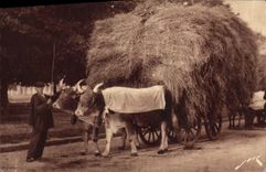 VINTAGE POSTCARD Folklore Pyrenean Soil a Pyrenean coach