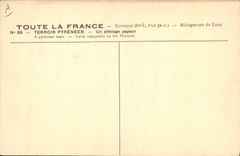 Suelo pirenáico del folklore de la POSTAL de la VENDIMIA un coche pirenáico