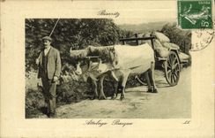 CPA Folklore Biarritz Attelage basque 
