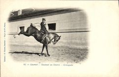 VINTAGE POSTCARD Hippisme Jumping Saumur Horse in Croupade freedom
