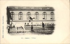 VINTAGE POSTCARD Hippisme Cheval Saumur Flies