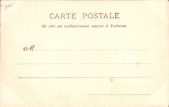 VINTAGE POSTCARD Hippisme Cheval Saumur Flies