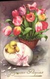 VINTAGE POSTCARD Fantasy Illustrator Egg Chick