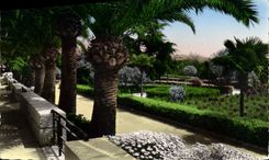 CPM Villefranche Sur mer La Promenade le Jardin public et la vegetation exotique