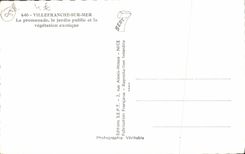 CPM Villefranche Sur mer La Promenade le Jardin public et la vegetation exotique