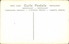 VINTAGE POSTCARD Cardinal Antonelli Italian Statesman