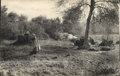 VINTAGE POSTCARD Militaria Side! Soldiers