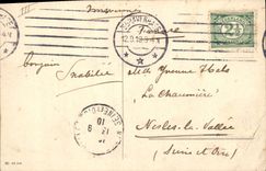 CPA Fantaisie Illustrateur Enfants Parkinson Oies