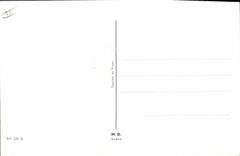 Herradura del perro de Jim Patt Enfants del ilustrador de Fantaisie de la POSTAL de la VENDIMIA