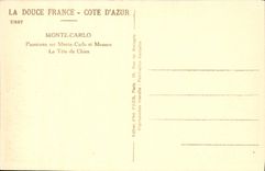 CPA Monte Carlo Panorama Sur Monte Carlo et Monaco La tete de chien