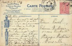 VINTAGE POSTCARD swimming Illustrator Beauvais Dog