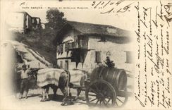 CPA Folklore Pays basque Maison et attelage basque Boeufs 