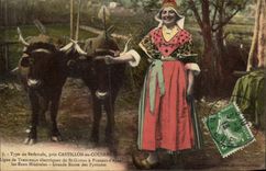 CPA Folklore Type de Bethmale pres Castillon en Couserans Ligne de tramways electriques Boeufs 