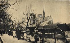 CPA Paris Notre Dame Les bouquinistes sur les quais de la Seine
