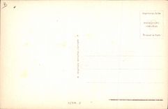 CPA Fantaisie Illustrateur Femme au chien