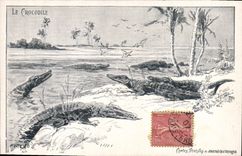 CPA Crocodile 