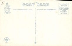 Cocodrilo la Florida la Florida de la POSTAL de la VENDIMIA