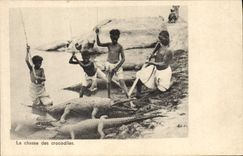 VINTAGE POSTCARD hunting for the crocodiles
