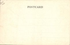 VINTAGE POSTCARD hunting for the crocodiles