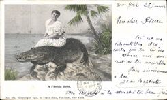 VINTAGE POSTCARD Florida Belle has
