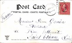 VINTAGE POSTCARD Florida Belle has